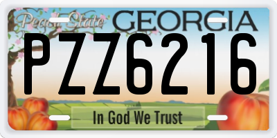 GA license plate PZZ6216