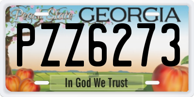 GA license plate PZZ6273