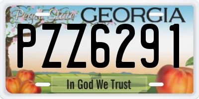 GA license plate PZZ6291