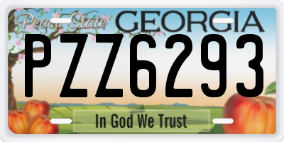 GA license plate PZZ6293