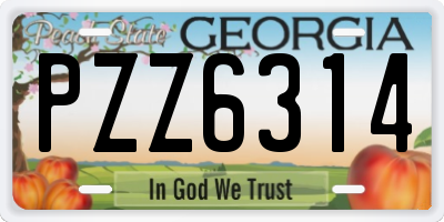 GA license plate PZZ6314