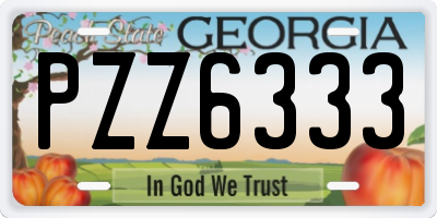 GA license plate PZZ6333