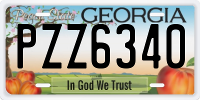 GA license plate PZZ6340