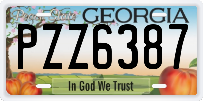 GA license plate PZZ6387