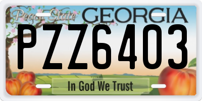 GA license plate PZZ6403