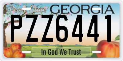 GA license plate PZZ6441