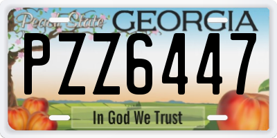 GA license plate PZZ6447