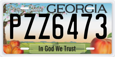 GA license plate PZZ6473