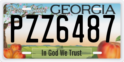GA license plate PZZ6487