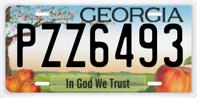 GA license plate PZZ6493