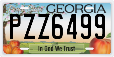 GA license plate PZZ6499