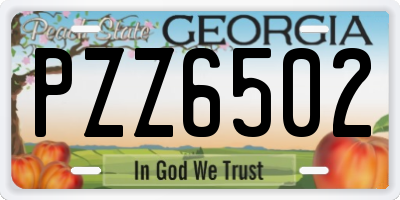 GA license plate PZZ6502