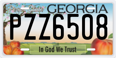 GA license plate PZZ6508