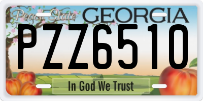 GA license plate PZZ6510