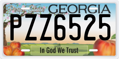 GA license plate PZZ6525