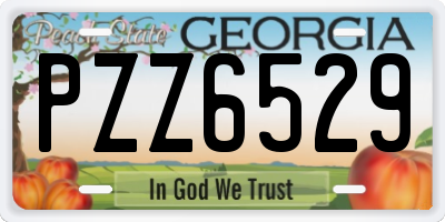 GA license plate PZZ6529