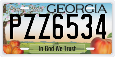 GA license plate PZZ6534