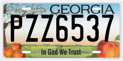 GA license plate PZZ6537