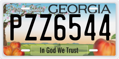 GA license plate PZZ6544