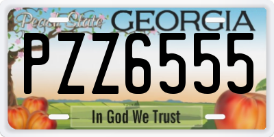 GA license plate PZZ6555