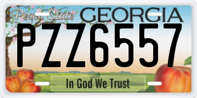 GA license plate PZZ6557