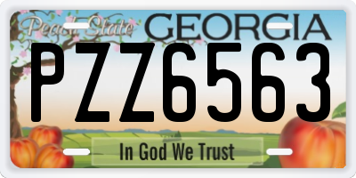 GA license plate PZZ6563