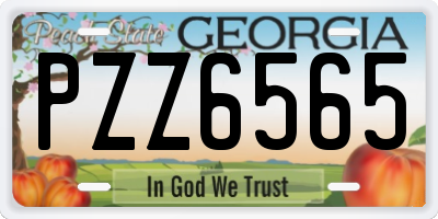 GA license plate PZZ6565