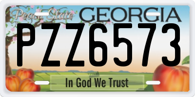 GA license plate PZZ6573