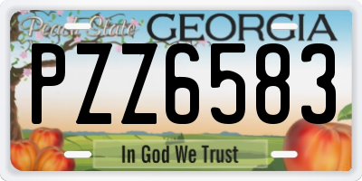 GA license plate PZZ6583