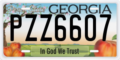 GA license plate PZZ6607