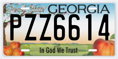 GA license plate PZZ6614