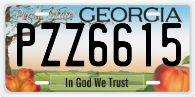 GA license plate PZZ6615