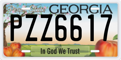 GA license plate PZZ6617