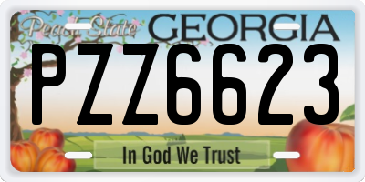 GA license plate PZZ6623