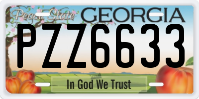 GA license plate PZZ6633