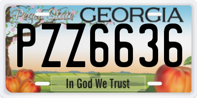 GA license plate PZZ6636