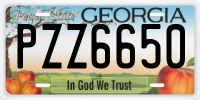 GA license plate PZZ6650