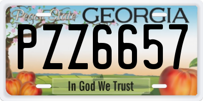 GA license plate PZZ6657