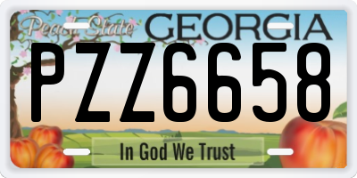 GA license plate PZZ6658