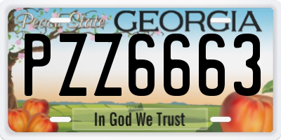 GA license plate PZZ6663