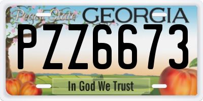 GA license plate PZZ6673