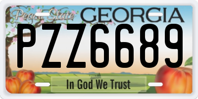 GA license plate PZZ6689