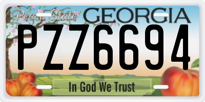 GA license plate PZZ6694