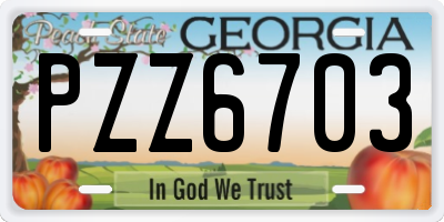 GA license plate PZZ6703