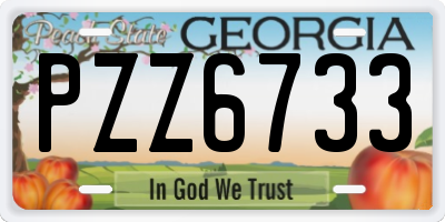GA license plate PZZ6733