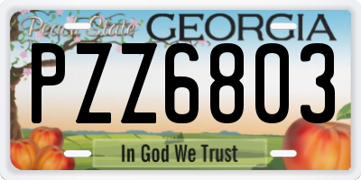 GA license plate PZZ6803