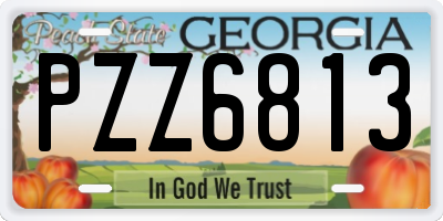 GA license plate PZZ6813