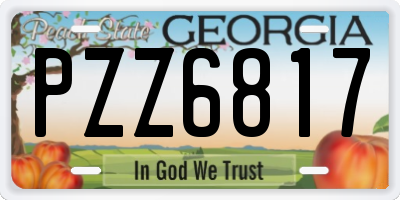 GA license plate PZZ6817