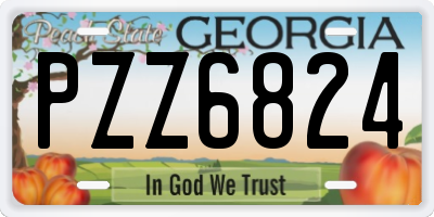 GA license plate PZZ6824