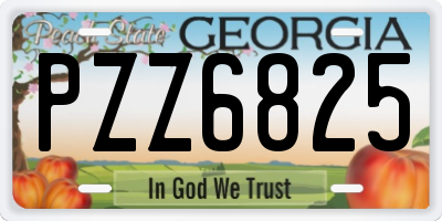 GA license plate PZZ6825